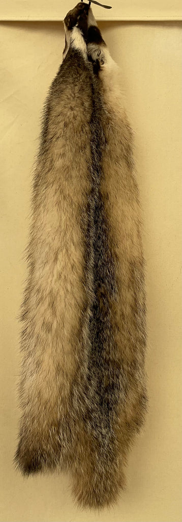 Badger pelt
