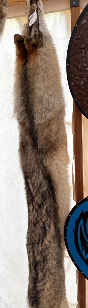 Alaskan wolf