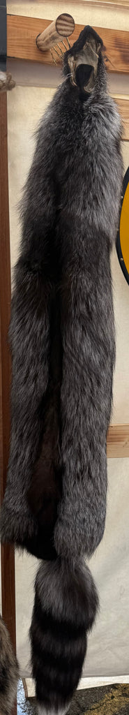 Silver fox