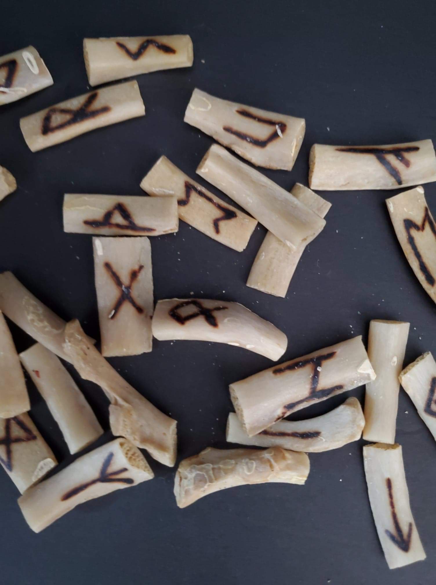 received_326298288636961_1504x